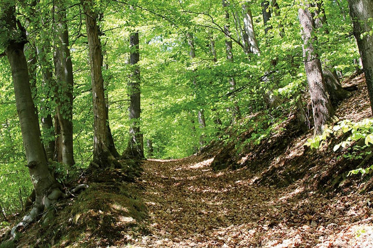 Landgasthof Hof Roscheid Ξενοδοχείο Attendorn Εξωτερικό φωτογραφία